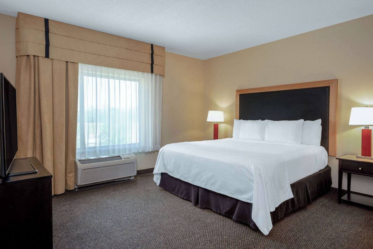 Une chambre d’hôtel avec un grand lit, une télévision, une fenêtre avec des rideaux, un radiateur et deux lampes de chevet.