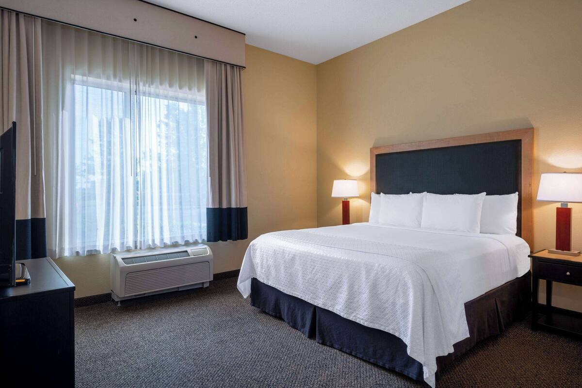 Une chambre d’hôtel avec un grand lit, deux lampes de chevet, un téléviseur à écran plat, un radiateur et une fenêtre avec des rideaux légers.