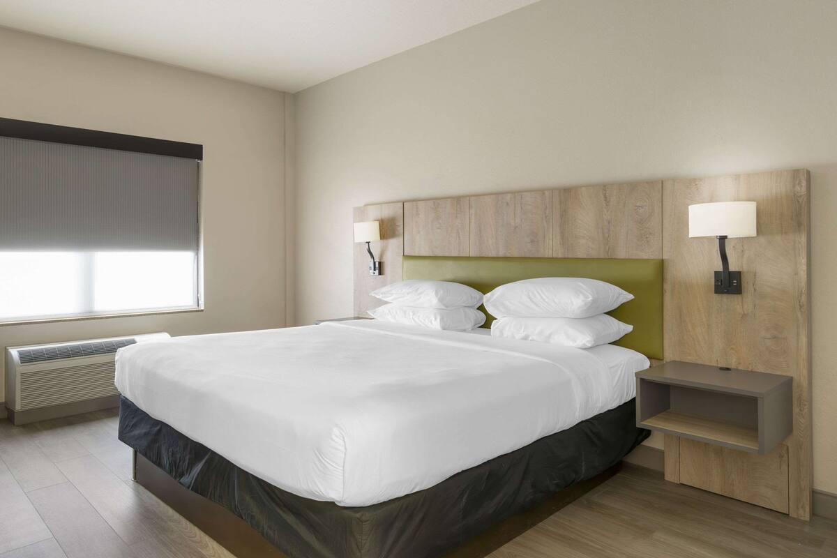 A hotel room with a large bed, a headboard with a light green panel, two bedside lamps, a small nightstand, and a window with blinds.