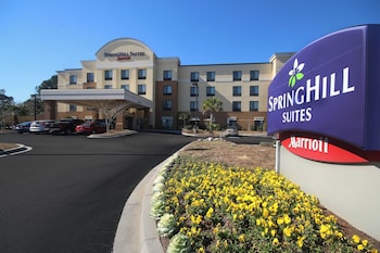 SpringHill Suites by Marriott Charleston N./Ashley Phosphate