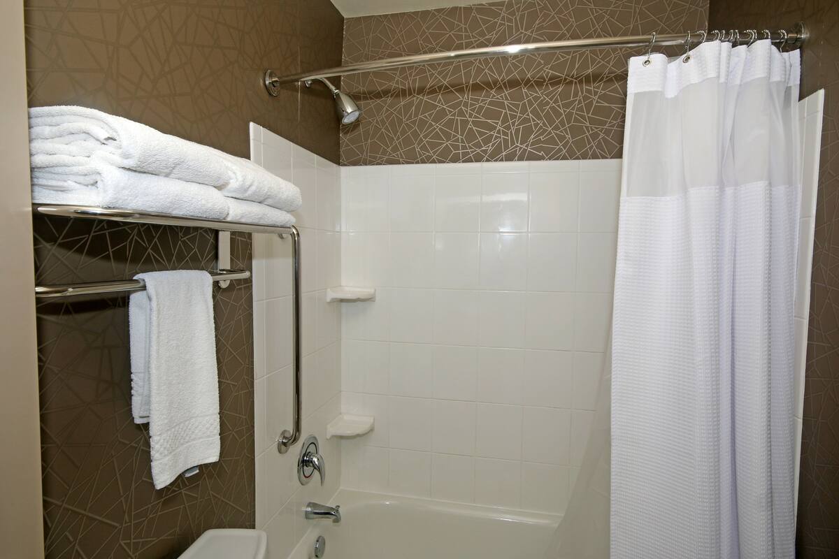 combined shower/bathtub, free toiletries, hair dryer, towels