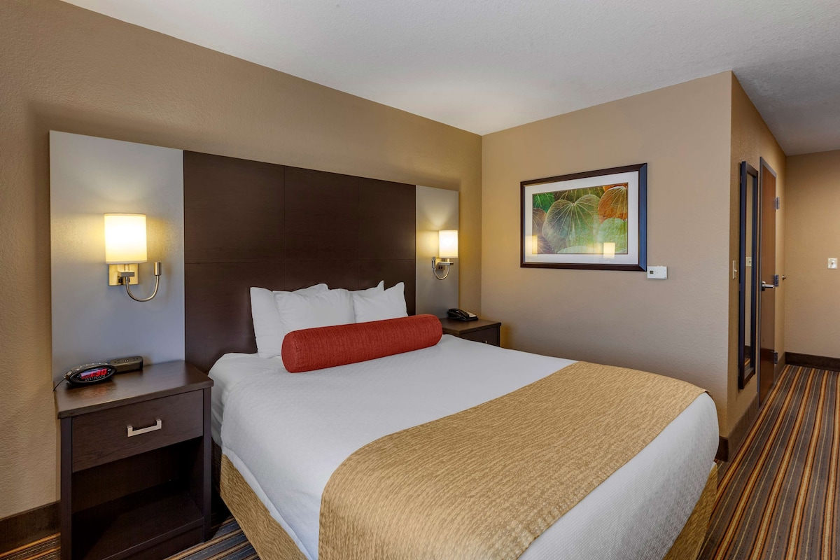 A hotel room with a large bed, two bedside tables, a red throw pillow, a framed artwork on the wall, and a striped carpet.