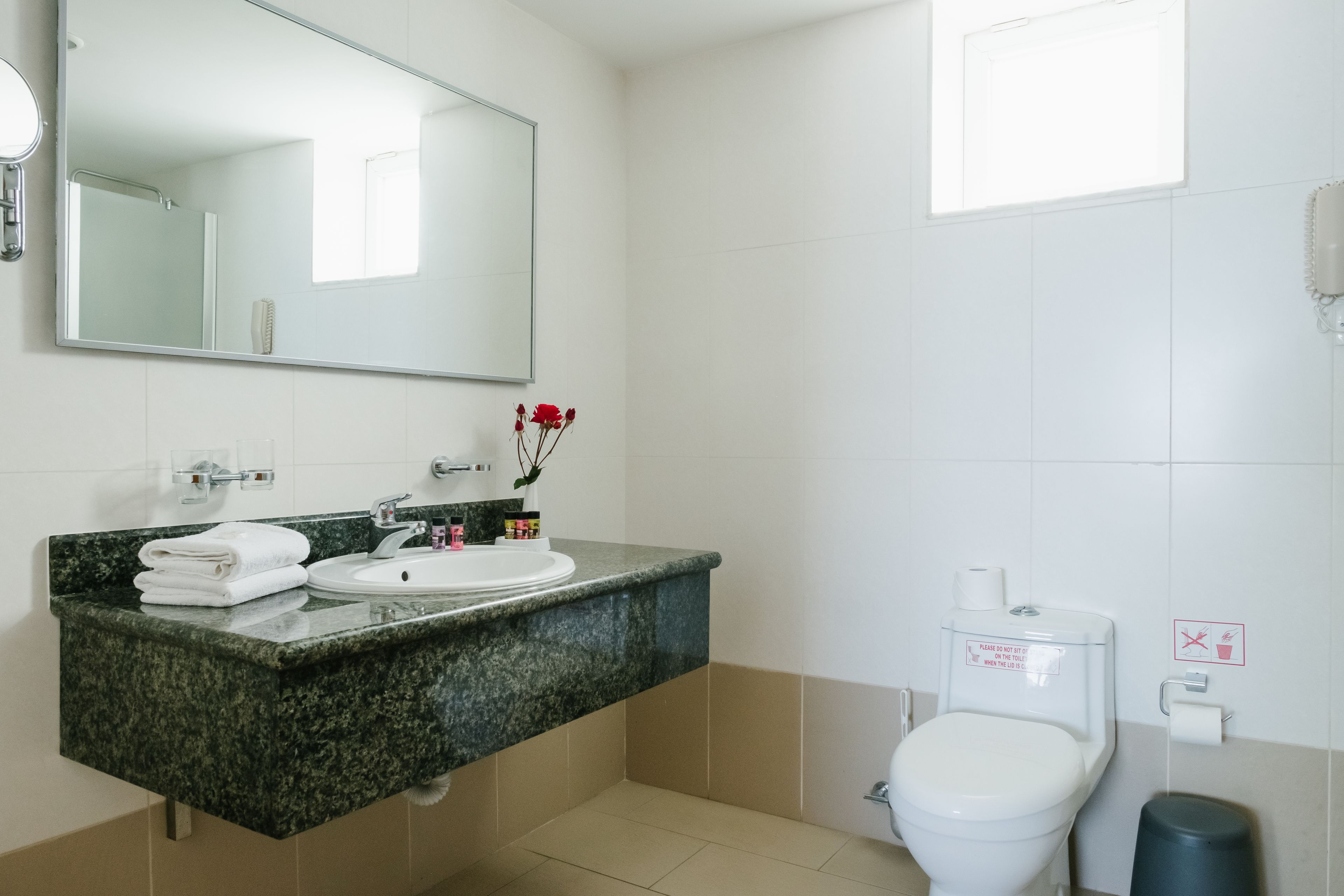 combined shower/bathtub, free toiletries, hair dryer, towels