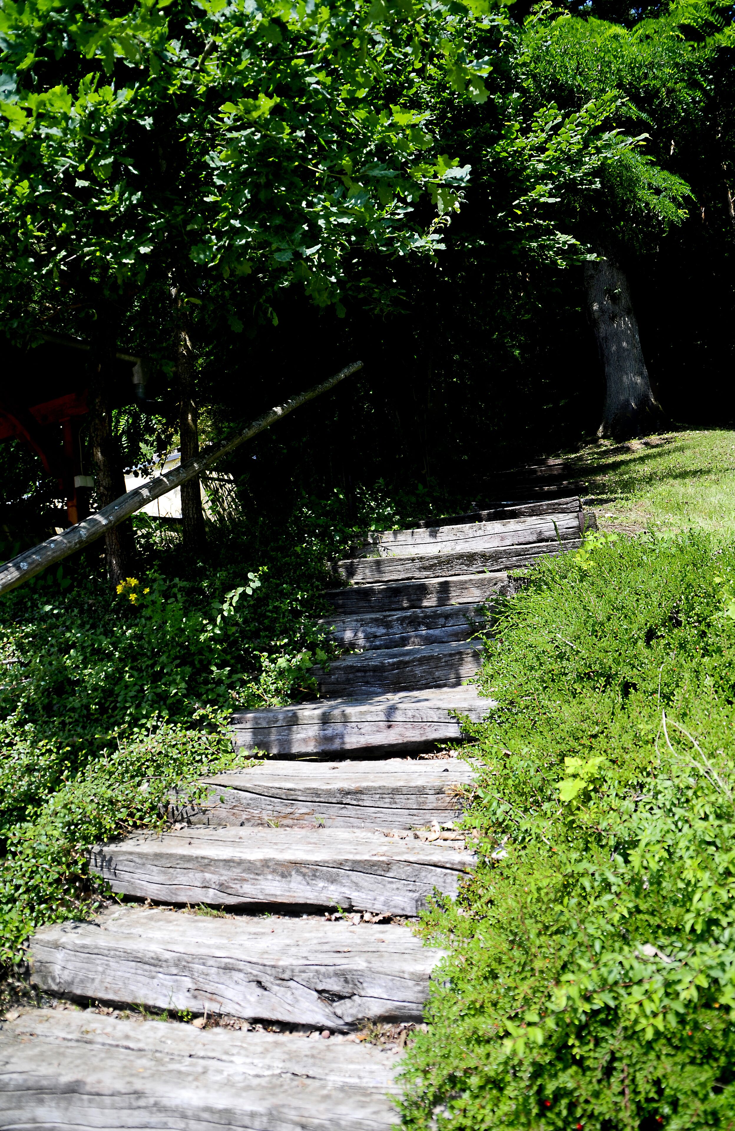 A stone staircase surrounded by lush greenery.