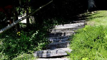 A stone staircase surrounded by lush greenery.