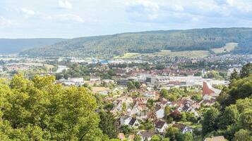 A town with a mix of residential and commercial buildings, surrounded by green hills.