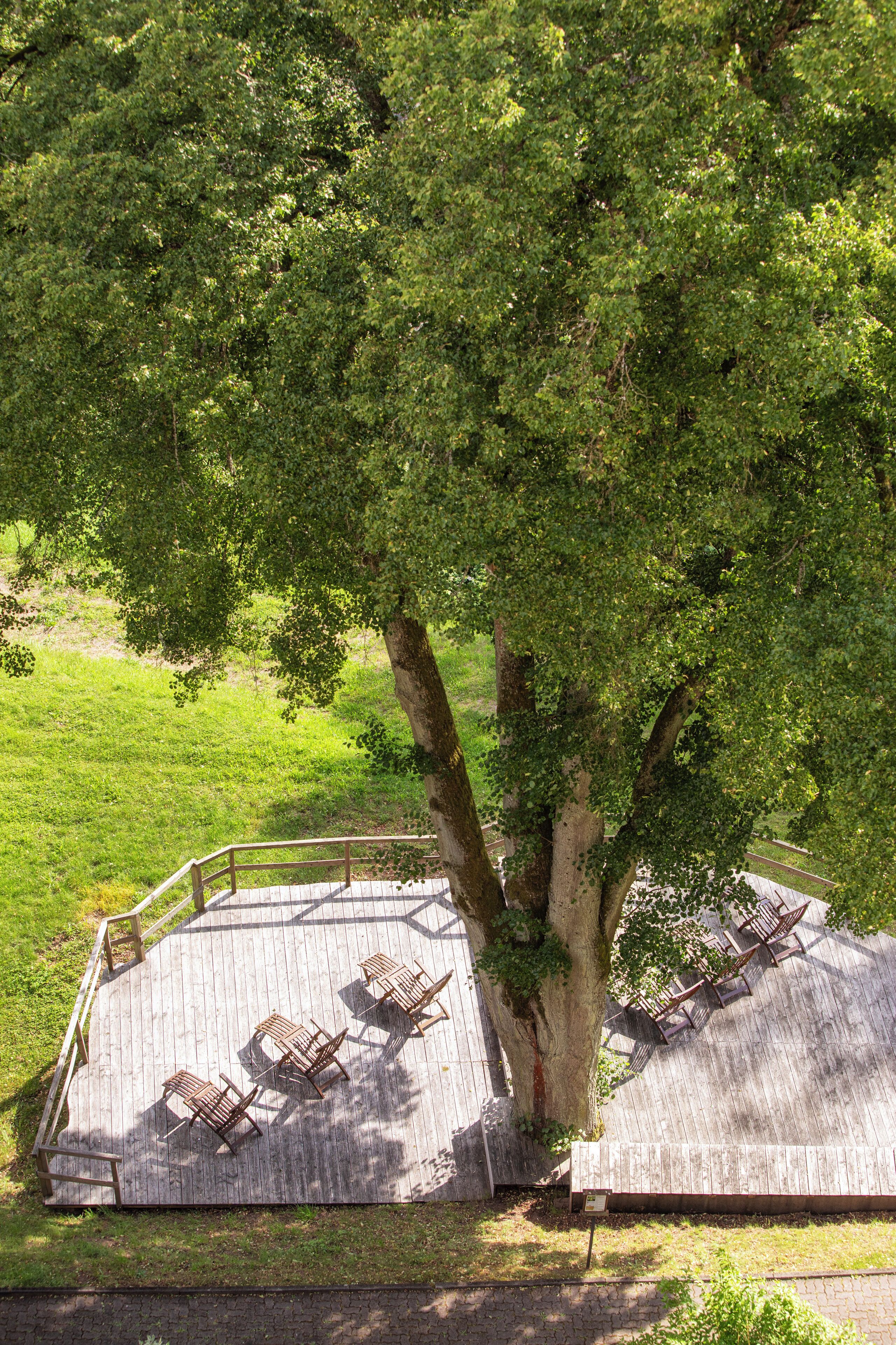 Terraza de madera con sillas metálicas bajo un árbol grande.