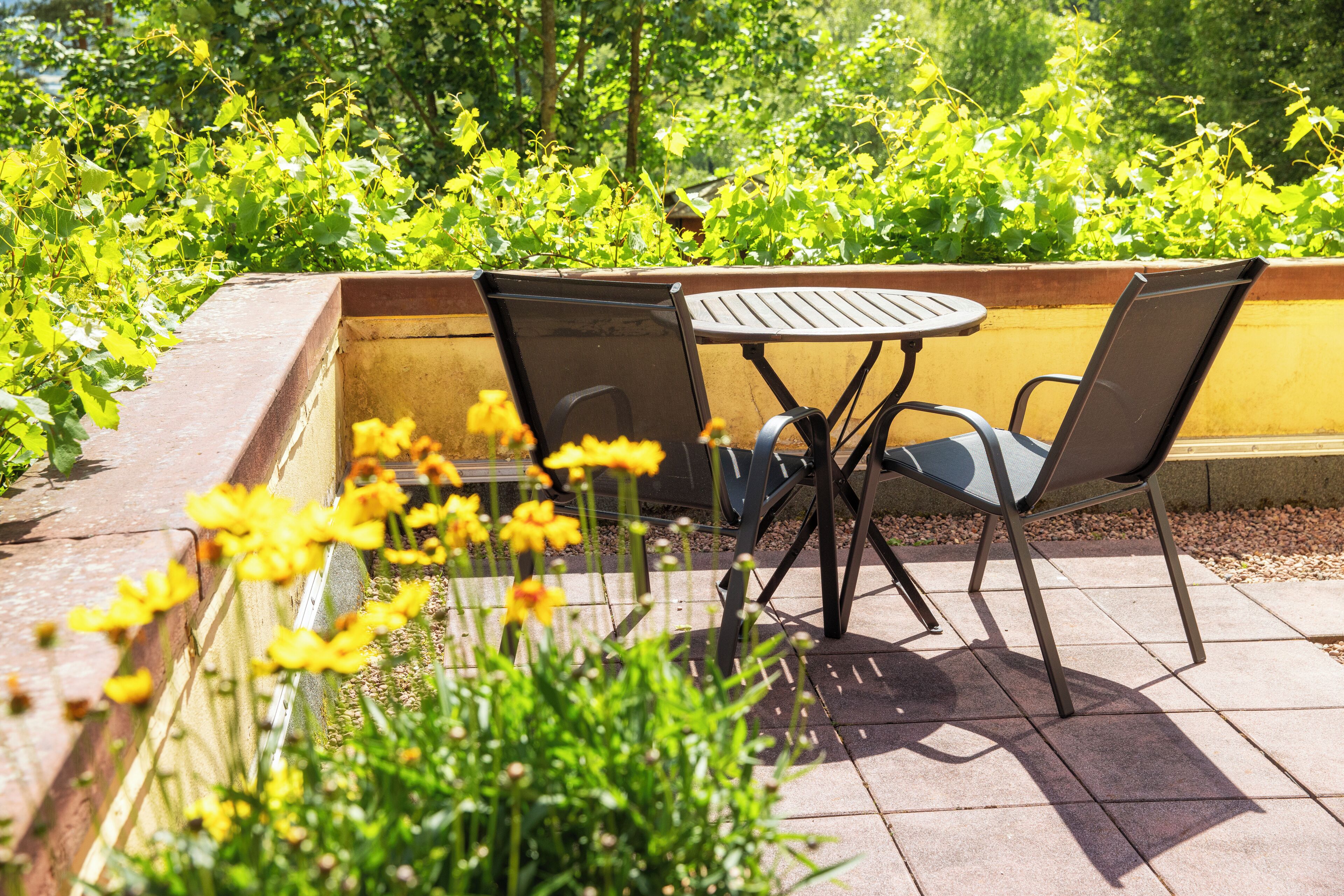 Un patio al aire libre con una mesa redonda y dos sillas, rodeado de follaje y flores amarillas.