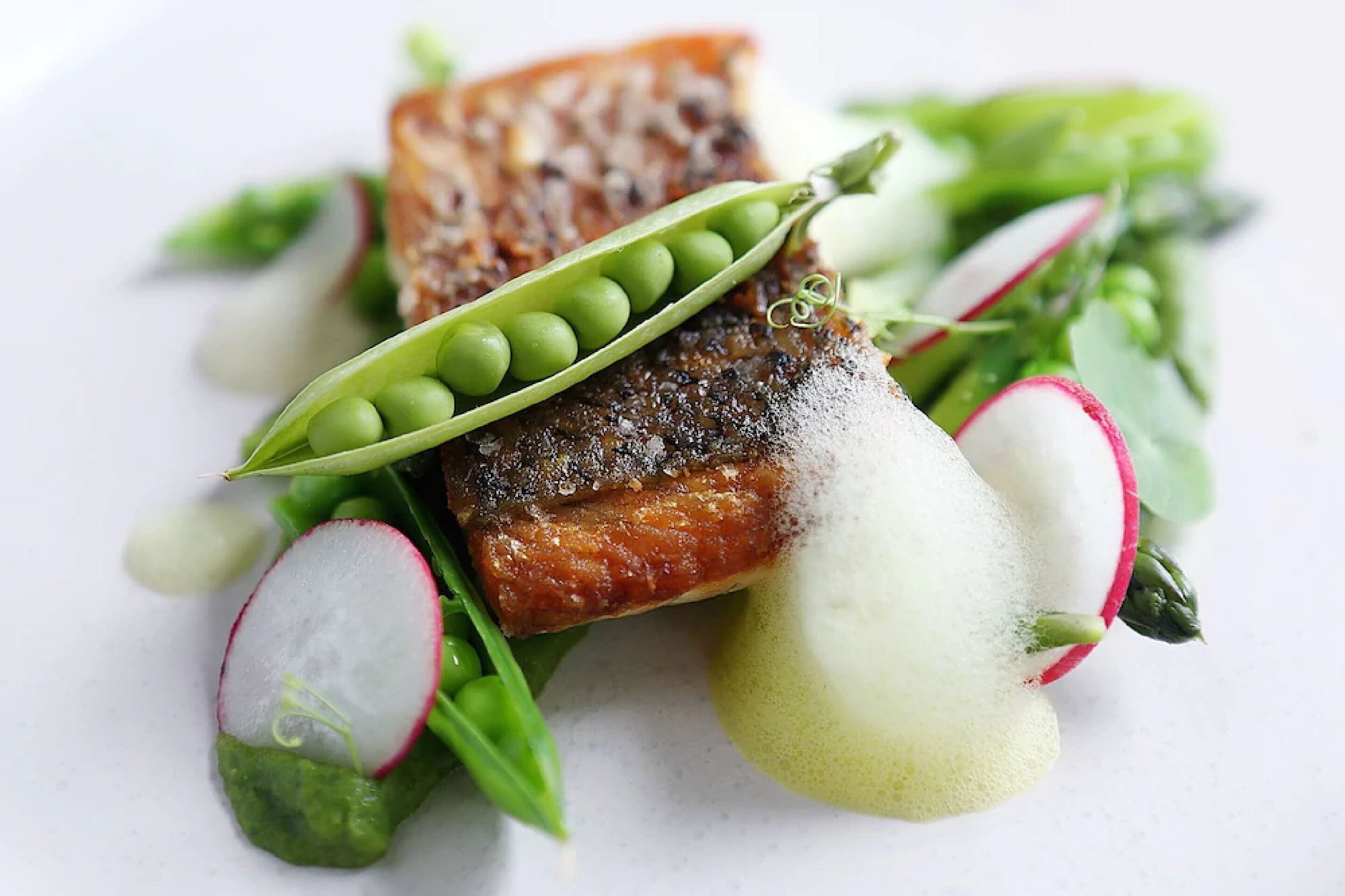 Une assiette contenant un morceau de saumon, des pois mange-tout, des rondelles de radis et des légumes verts.