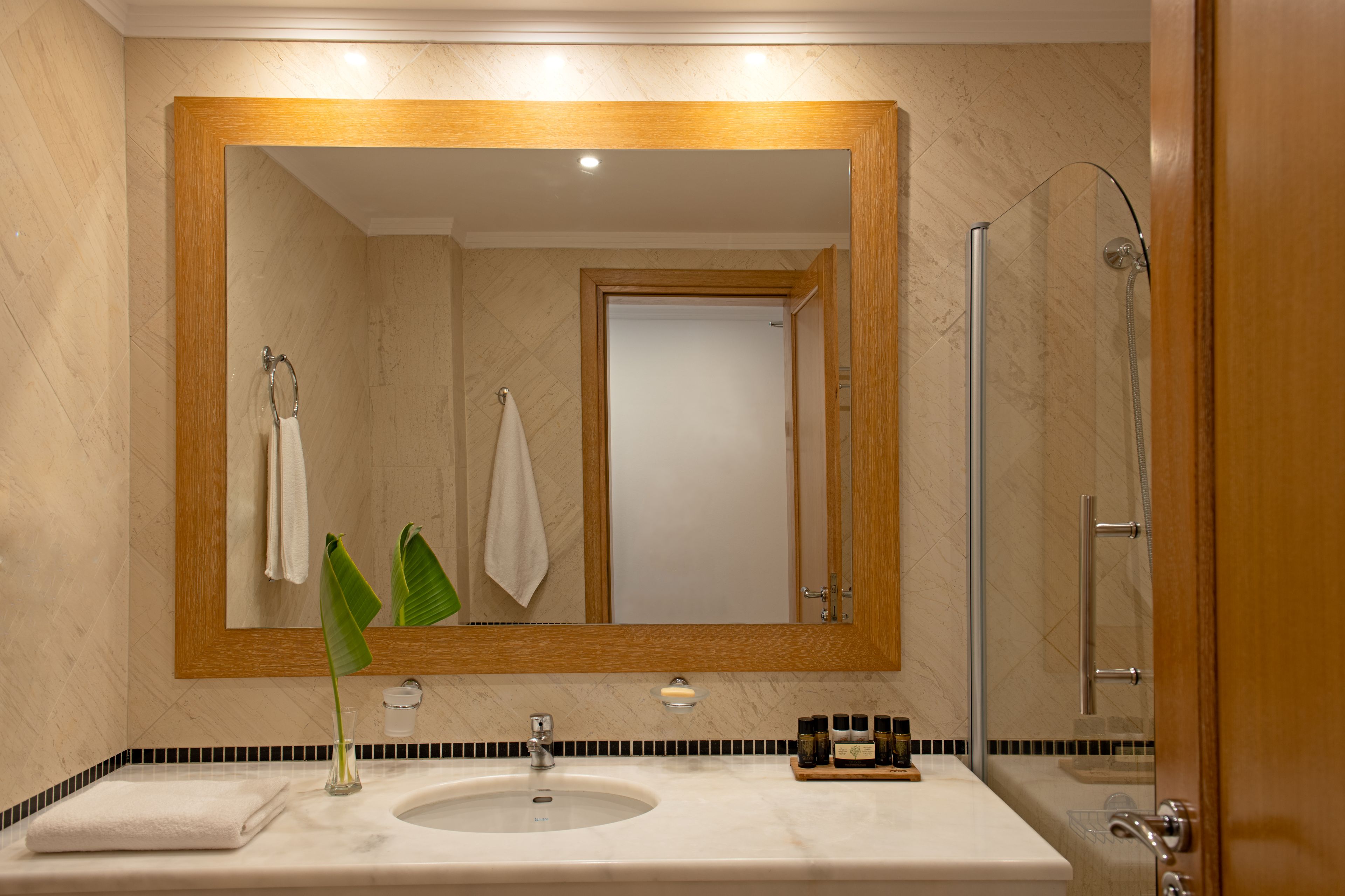 A bathroom with a large mirror, a sink, a shower, and a plant.
