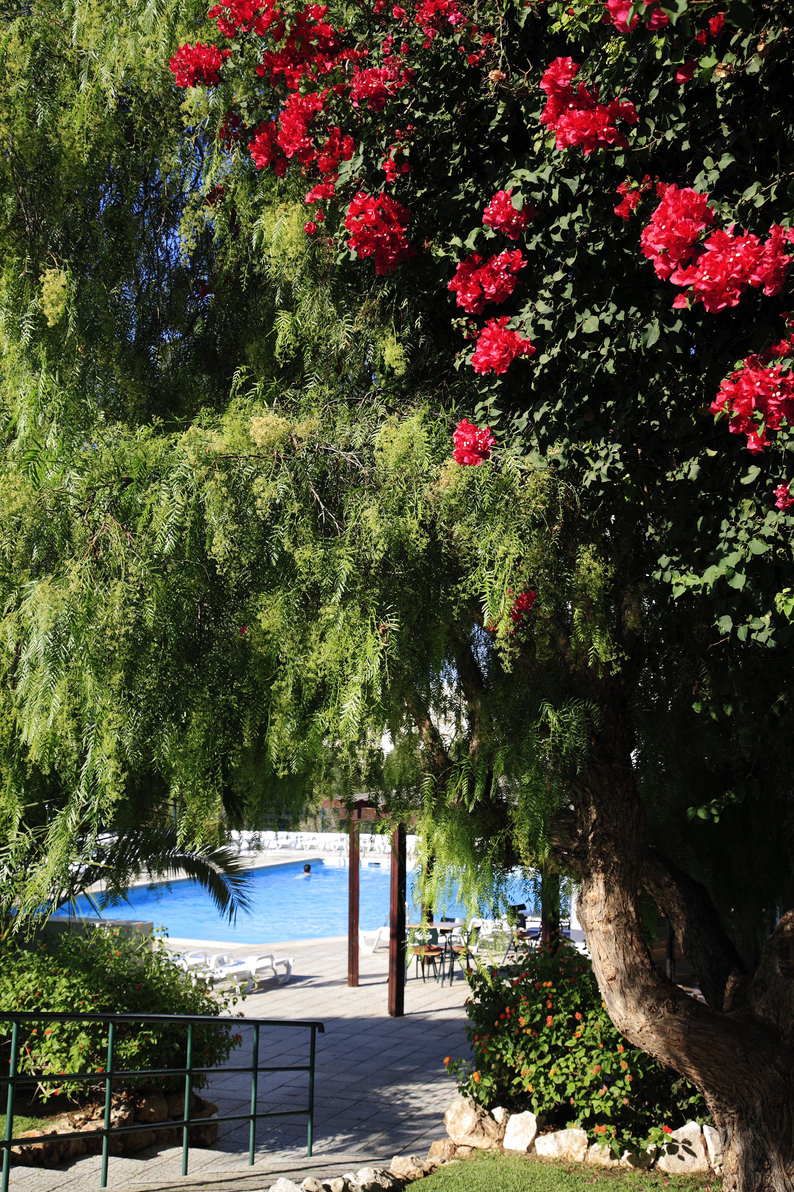 indoor pool, 2 outdoor pools, pool loungers