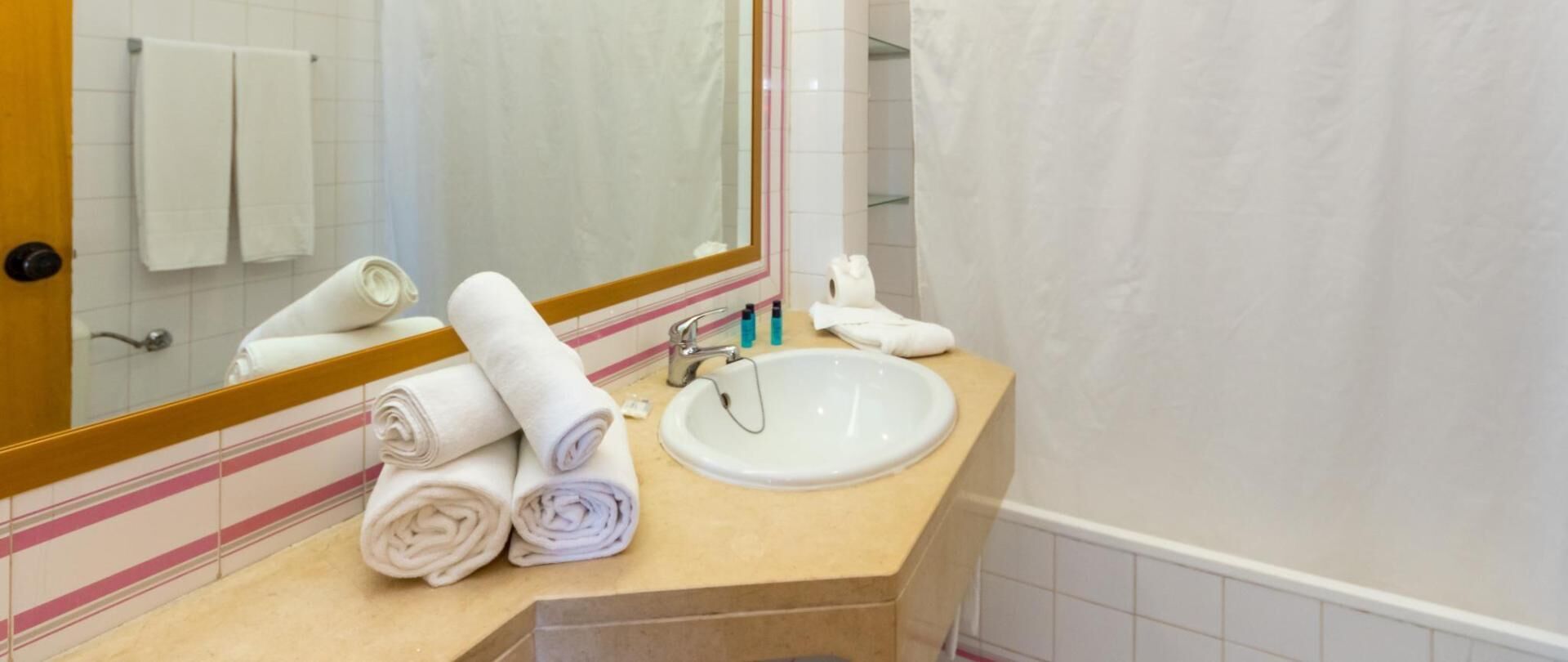 combined shower/bathtub, free toiletries, hair dryer, bidet