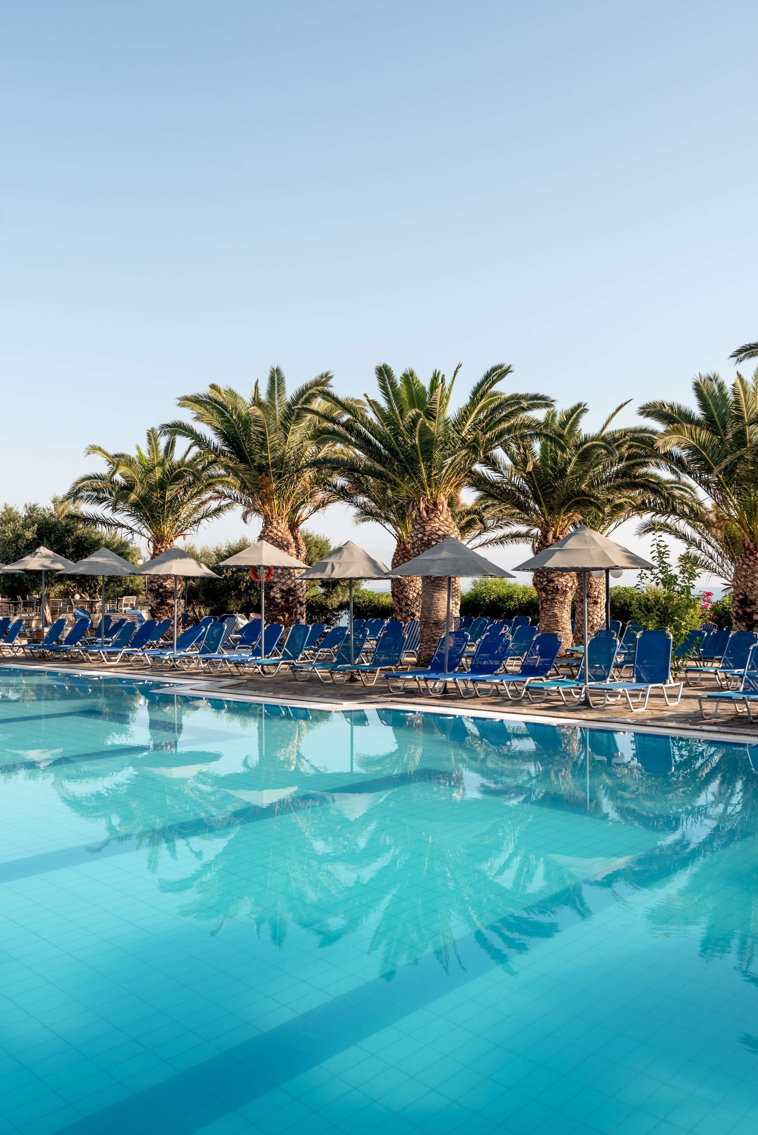 A pool area with blue lounge chairs and umbrellas, surrounded by palm trees.