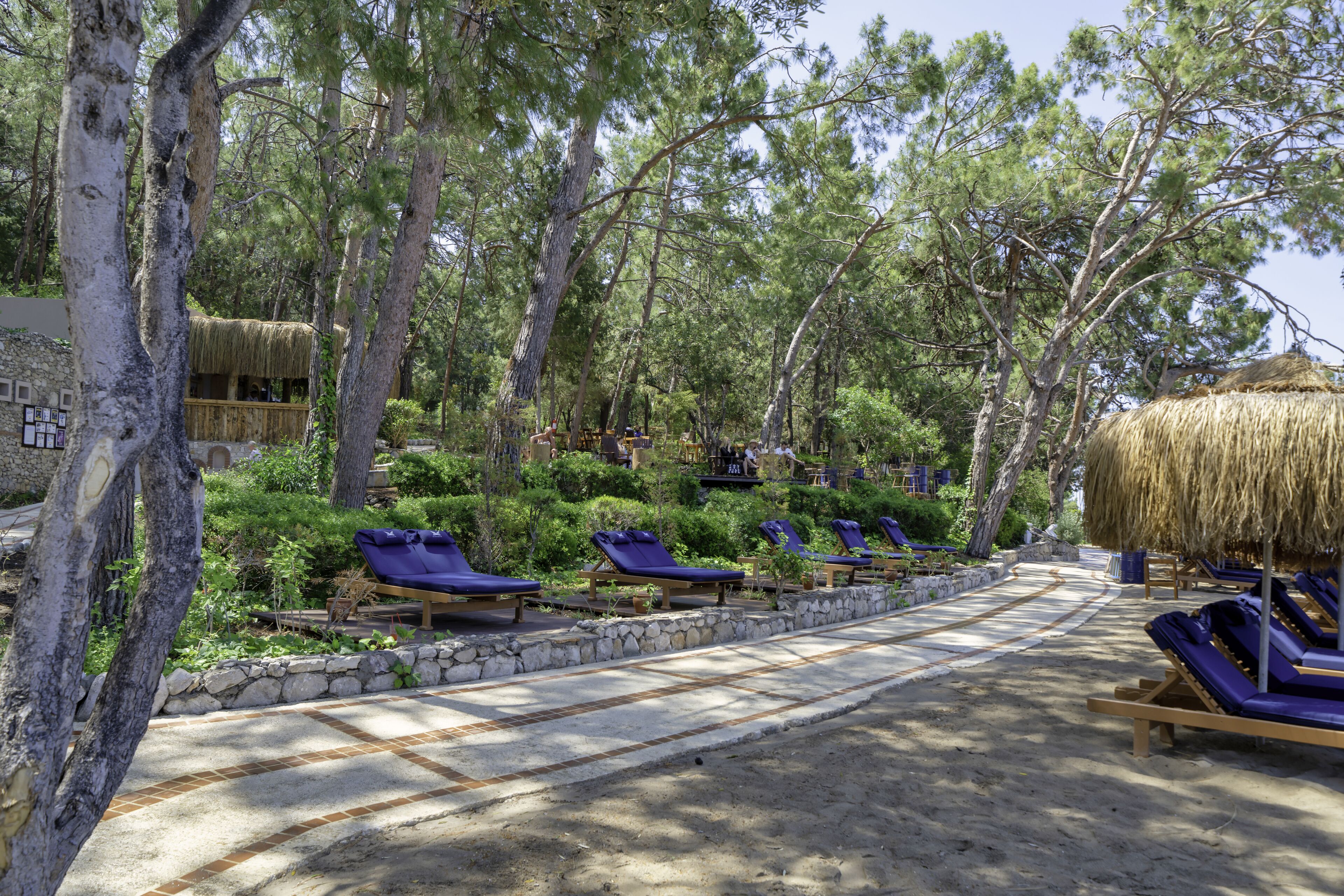 A resort with thatched-roof structures, lounge chairs, and a stone pathway.
