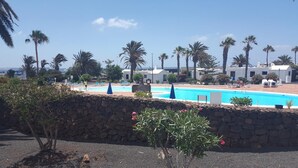 Zona de piscina con muro de piedra, palmeras y sillones de descanso.