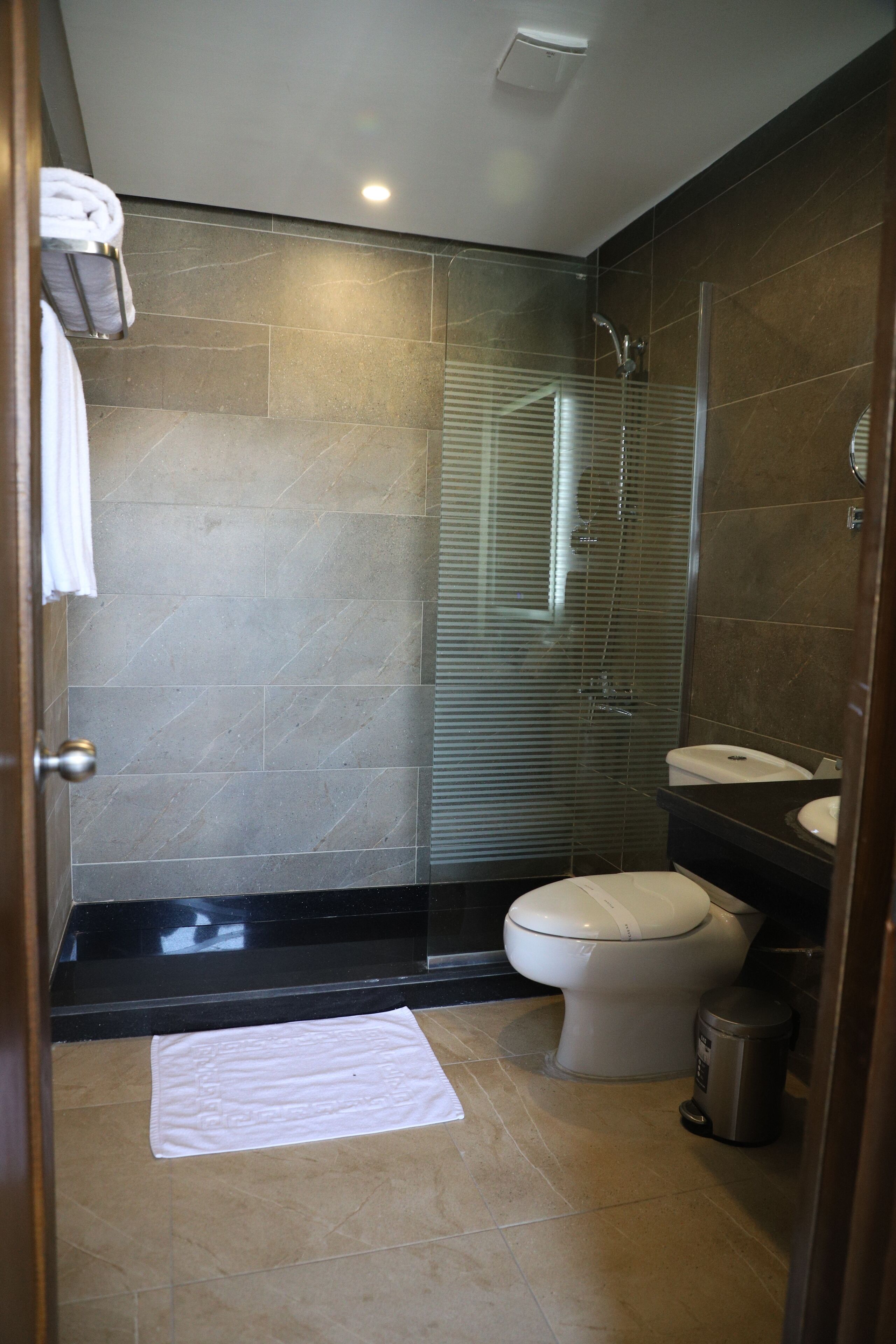 A modern bathroom with a glass-enclosed shower, a toilet, and a sink.