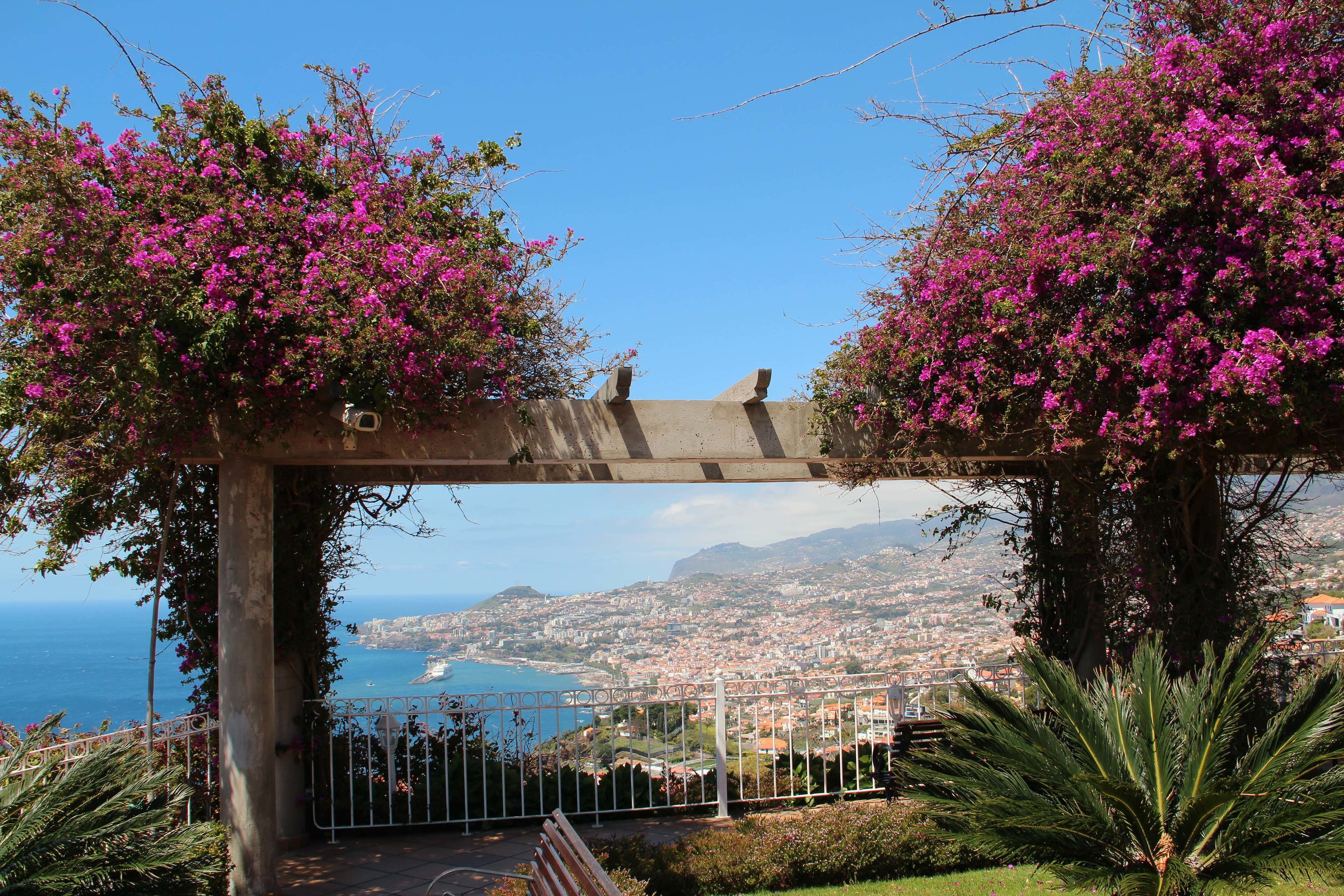 الإطلالة من المنشأة