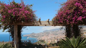 A balcony with a view of a coastal city, a pergola with flowering plants, and a palm tree. - Hotel Ocean Gardens (Funchal)