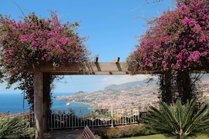 Vista desde la propiedad