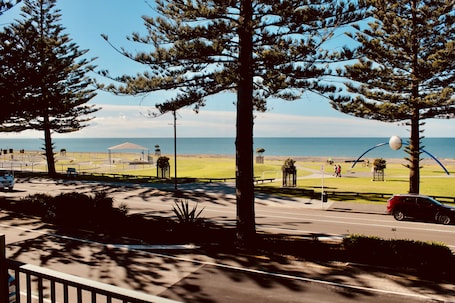 Vista desde la habitación