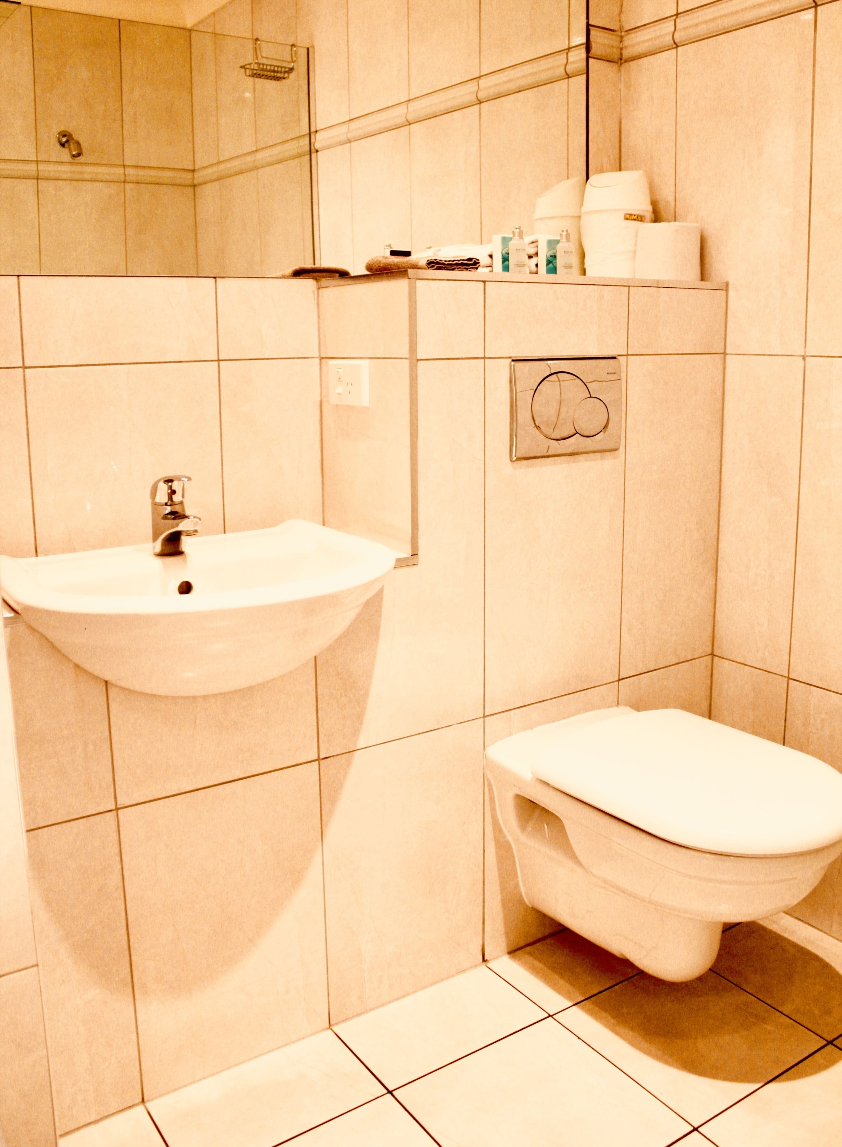 A bathroom with a sink, toilet, and a shelf with toiletries.