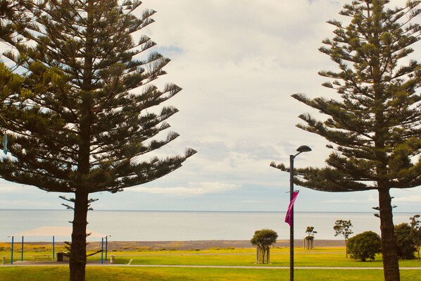 A coastal park with tall pine trees, a grassy area, a pathway, and a view of the sea.