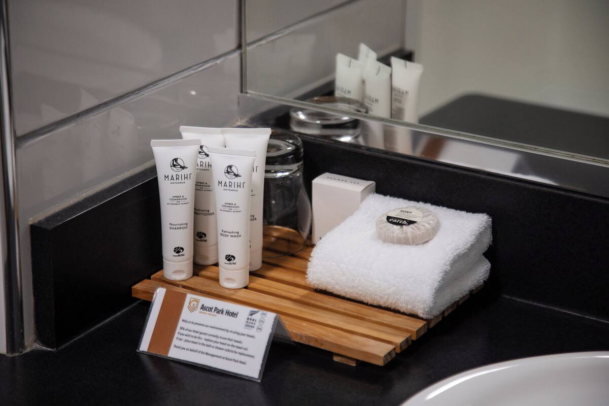 deluxe room, spa bath | bathroom | free toiletries, hair dryer, towels