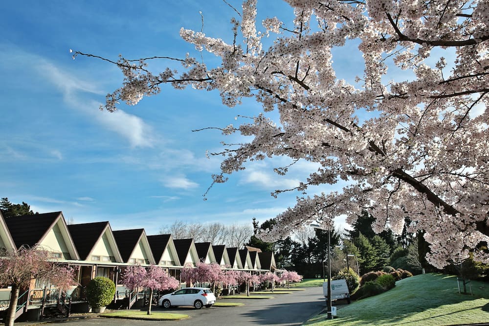 Ascot Park Hotel