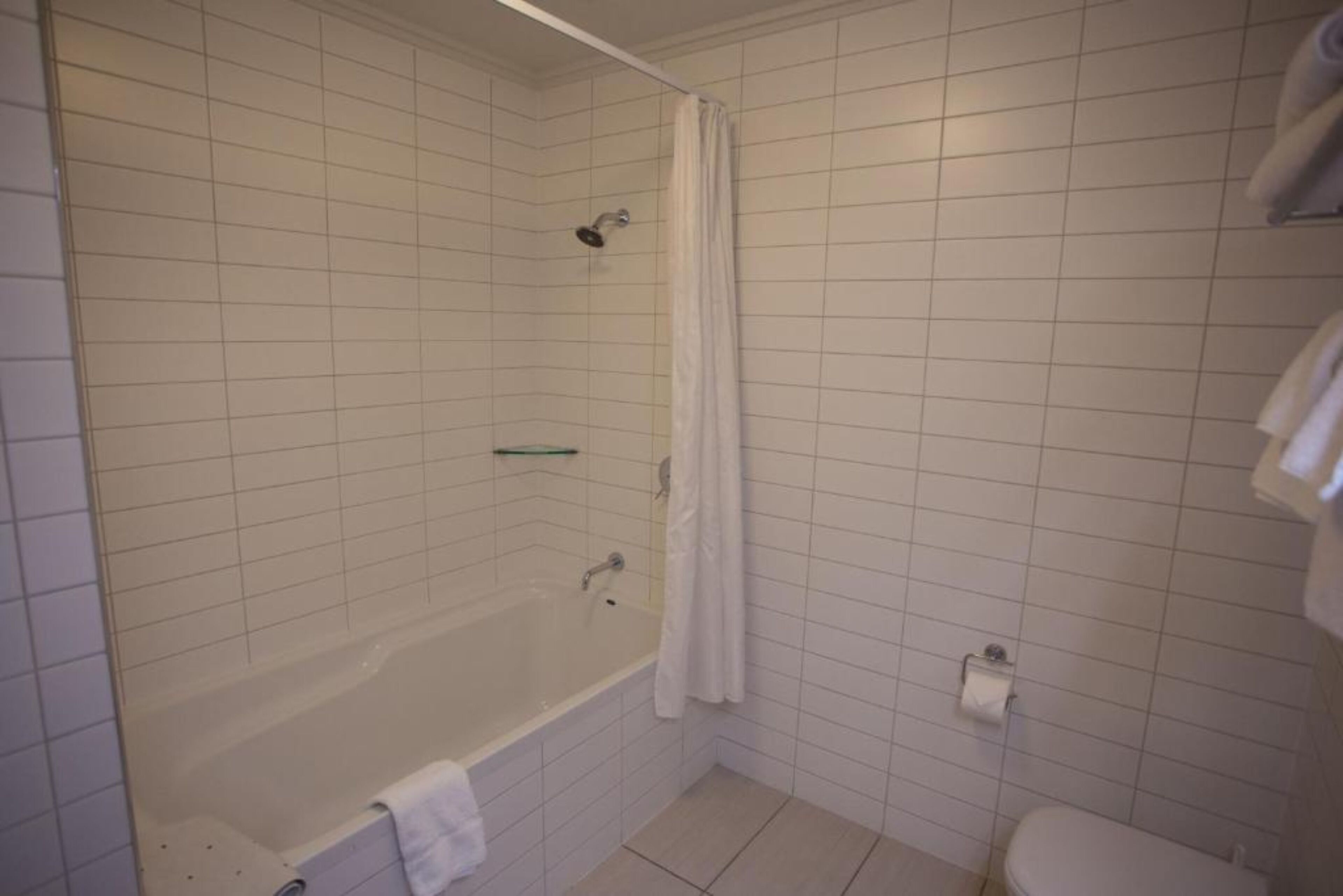 Un baño con bañera, inodoro y cortina de ducha.