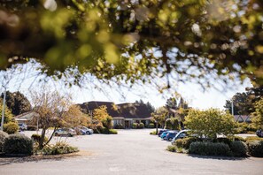 Free self-parking