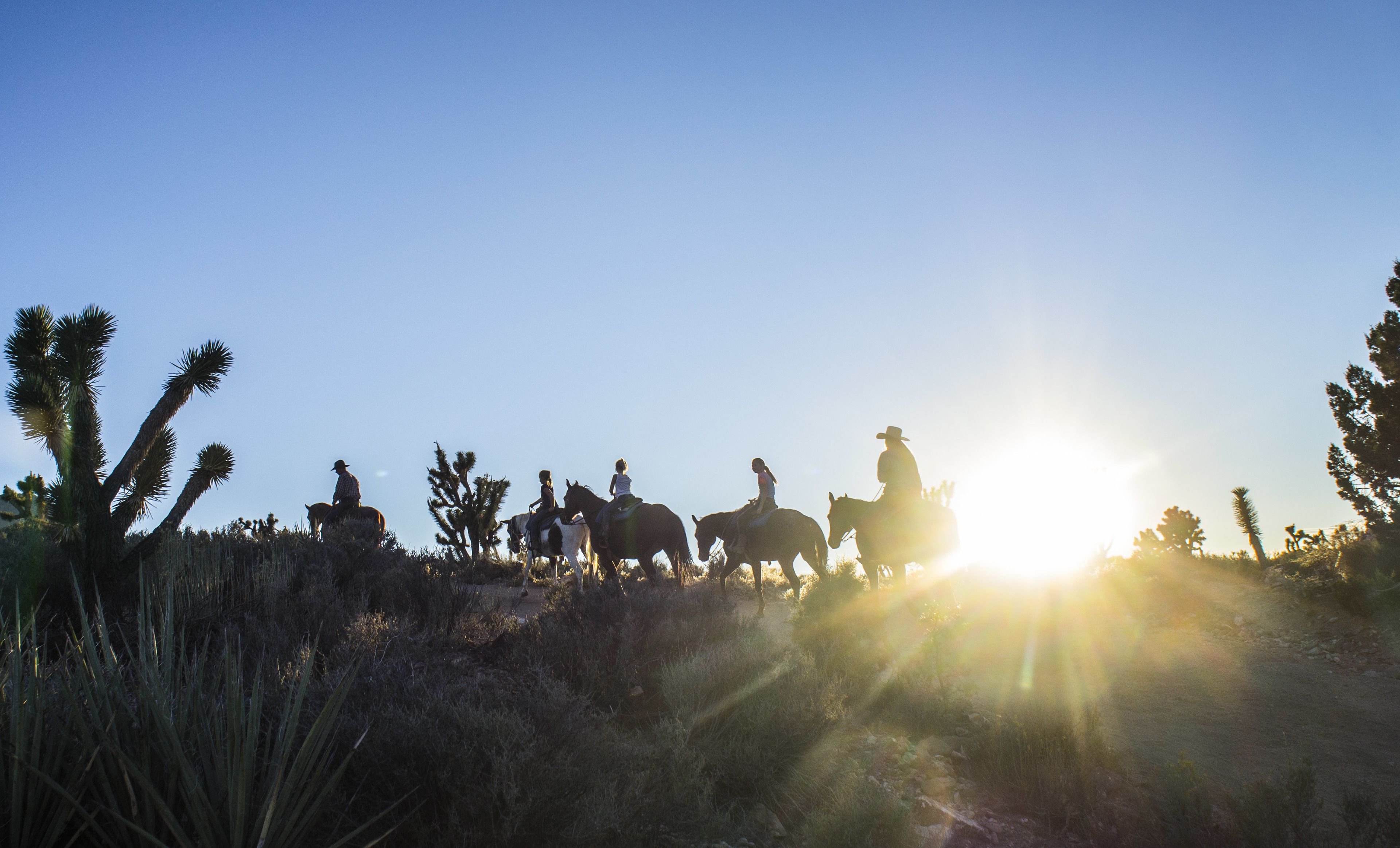 A group of people riding horses on a trail with a clear sky and sun setting in the background.
