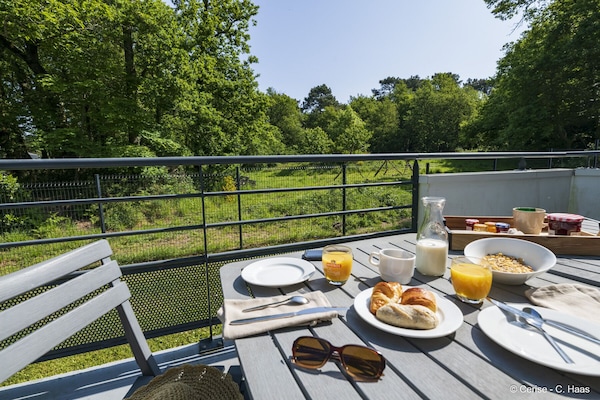 Apartament superior, terrassa | Terrassa o pati