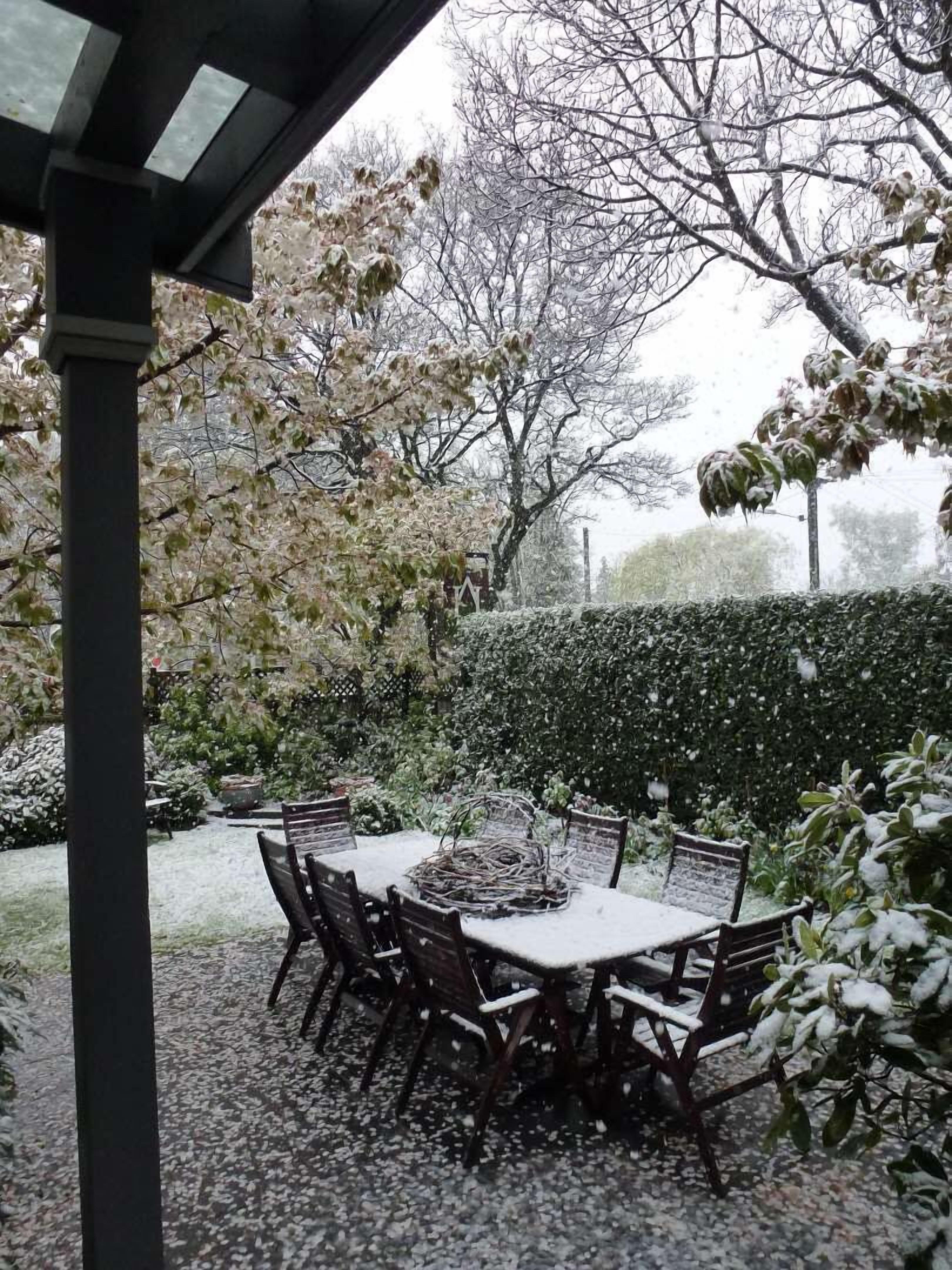 Une terrasse extérieure avec une table et des chaises, entourée de plantes et d’arbres recouverts de neige.