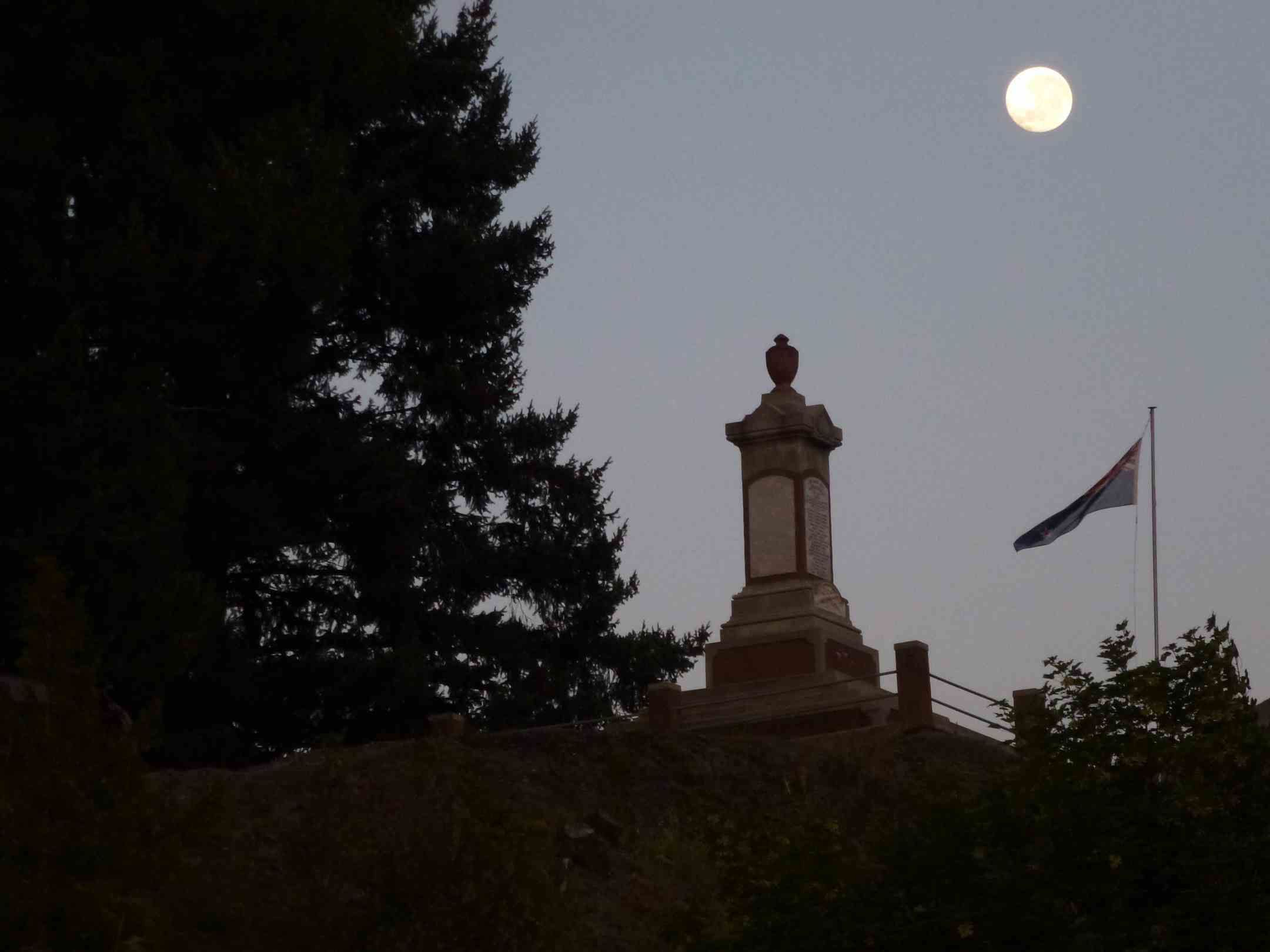 A monument with a flag on a hill.
