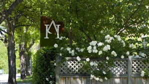 A wooden fence with white flowers and a sign with the letters "KY" in the background. - Arrowtown House Boutique Accommodation (Arrowtown)