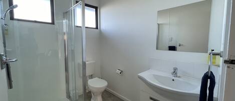 Un baño moderno con ducha envuelta en vidrio, inodoro y lavamanos con espejo sobre él.