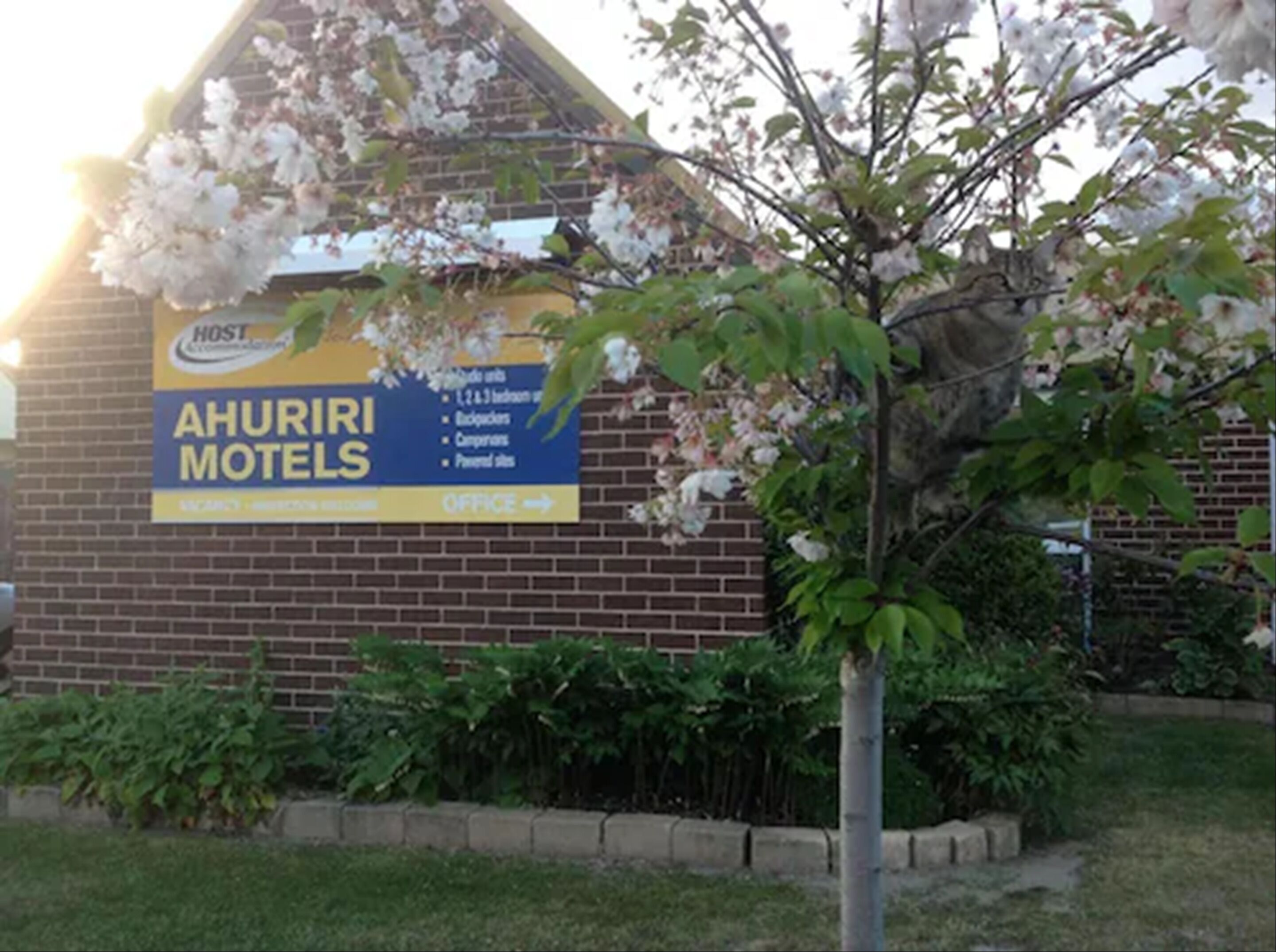 Un edificio de ladrillo con un letrero que dice "AHURI MOTELS" y un pequeño árbol en la fachada.