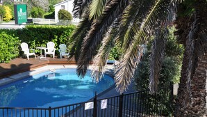 A swimming pool with white chairs and a palm tree. - Balmoral Motel (Nelson)