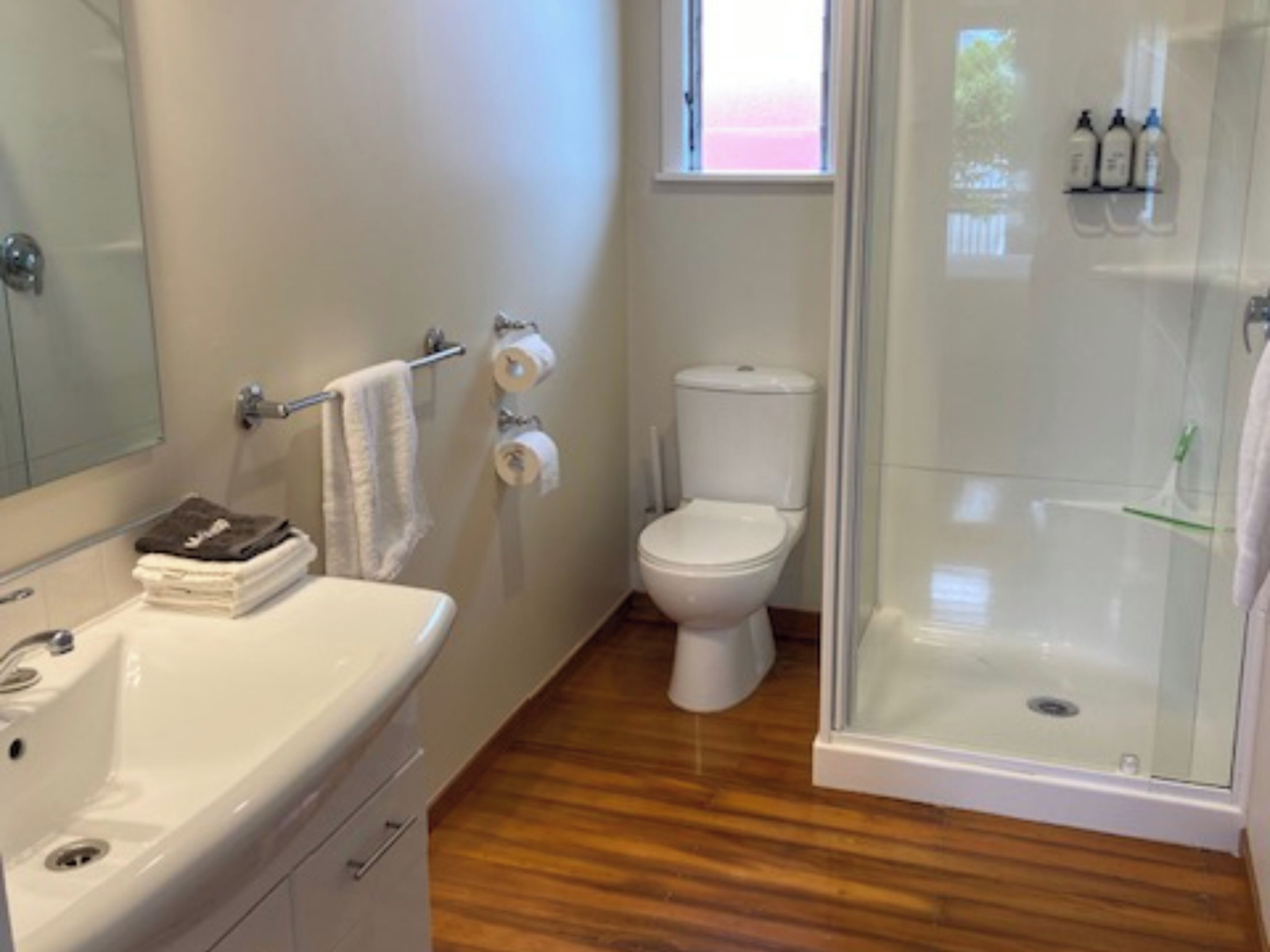 Une salle de bain avec des toilettes blanches, une douche à parois de verre, un lavabo et un miroir.