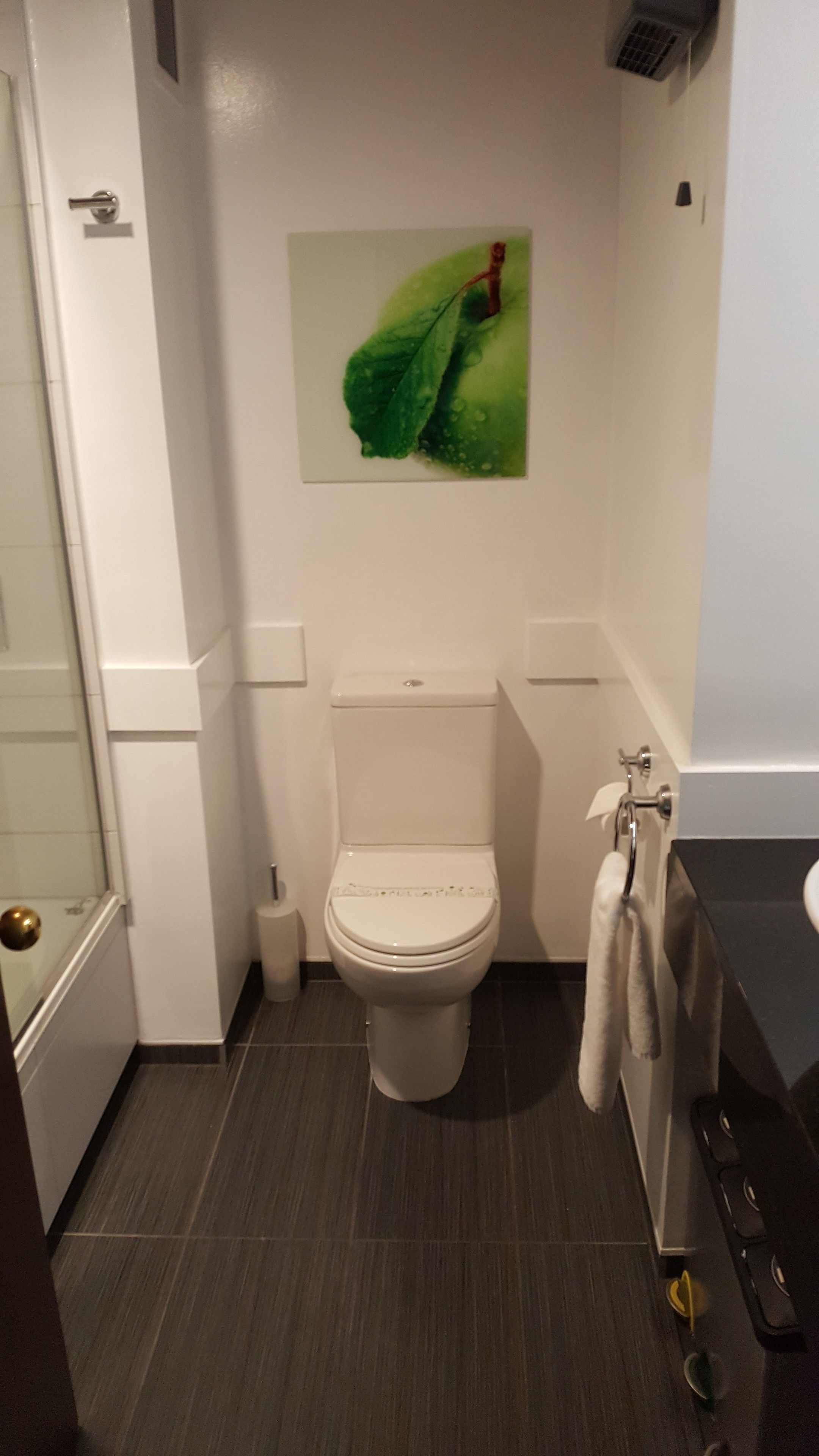 A bathroom with a toilet, a towel rack, a glass shower enclosure, and a green leaf artwork on the wall.