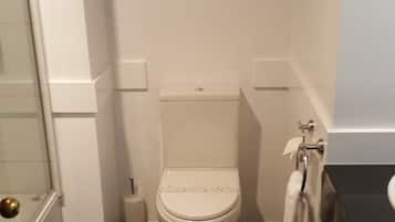 A bathroom with a toilet, a towel rack, a glass shower enclosure, and a green leaf artwork on the wall.