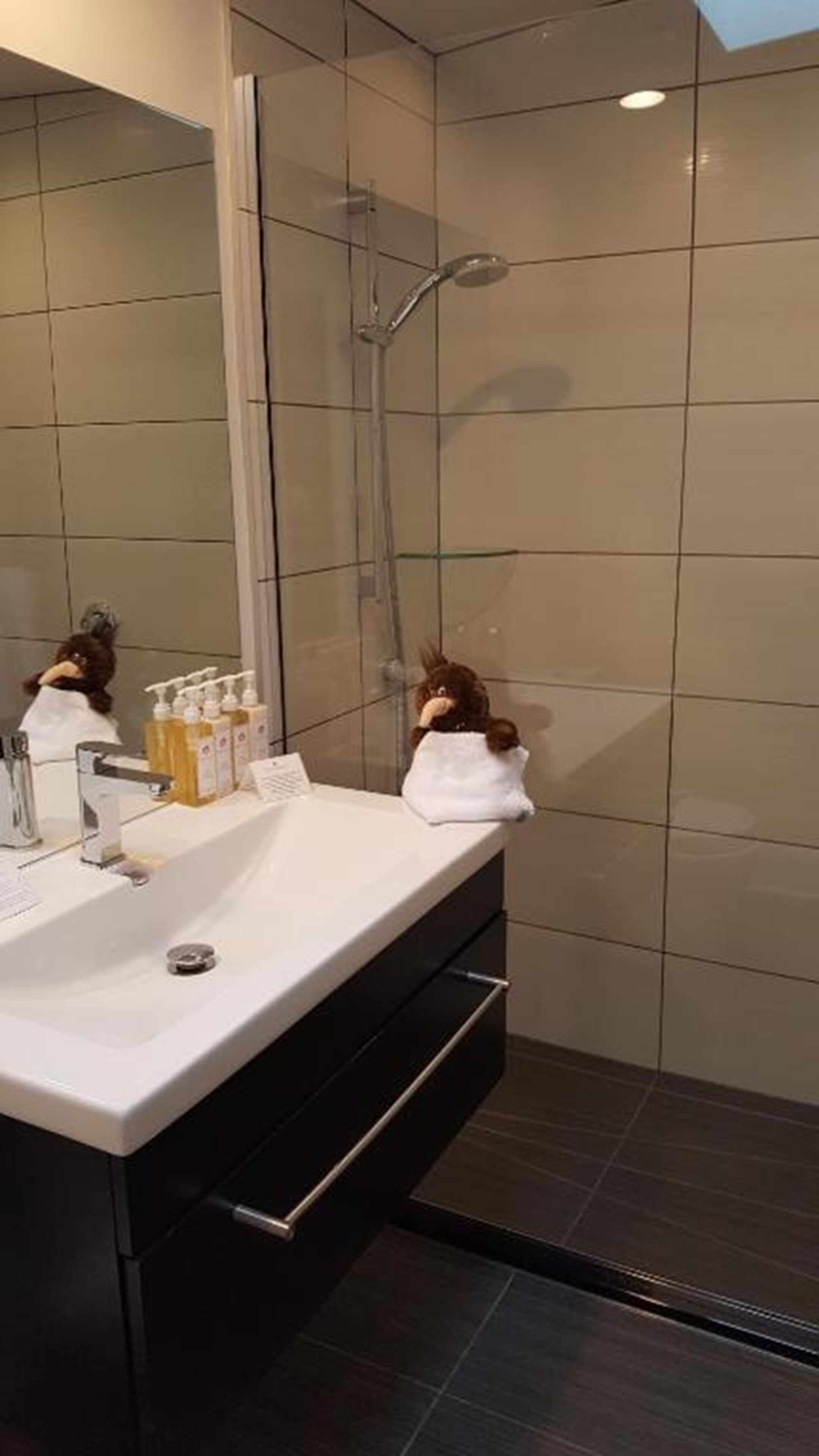 Un bany modern amb dutxa, un lavabo amb productes de tocador i un mirall.