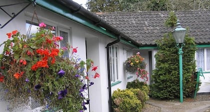 The Willow House