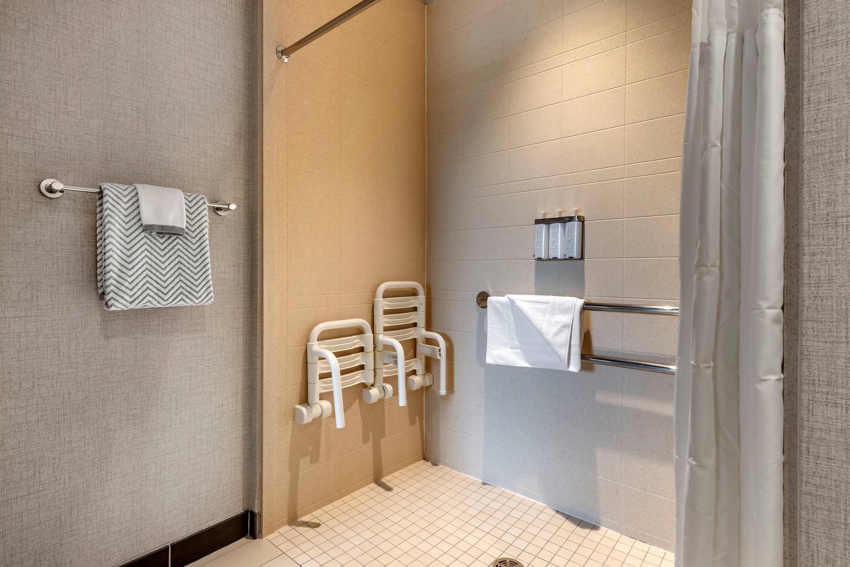 suite, 1 king bed with sofa bed, accessible | bathroom | designer toiletries, hair dryer, towels, soap