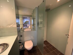 Shower, rainfall showerhead, hair dryer, towels