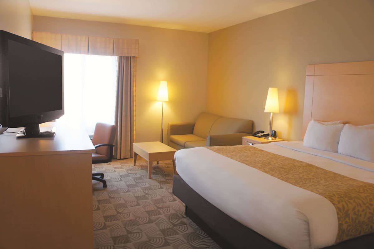 Habitación de hotel con cama, escritorio con televisor, silla, dos lámparas de noche y una mesita.