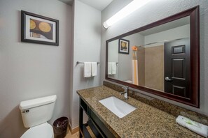 Bathroom - La Quinta Inn & Suites by Wyndham Mt. Pleasant (Mount Pleasant)