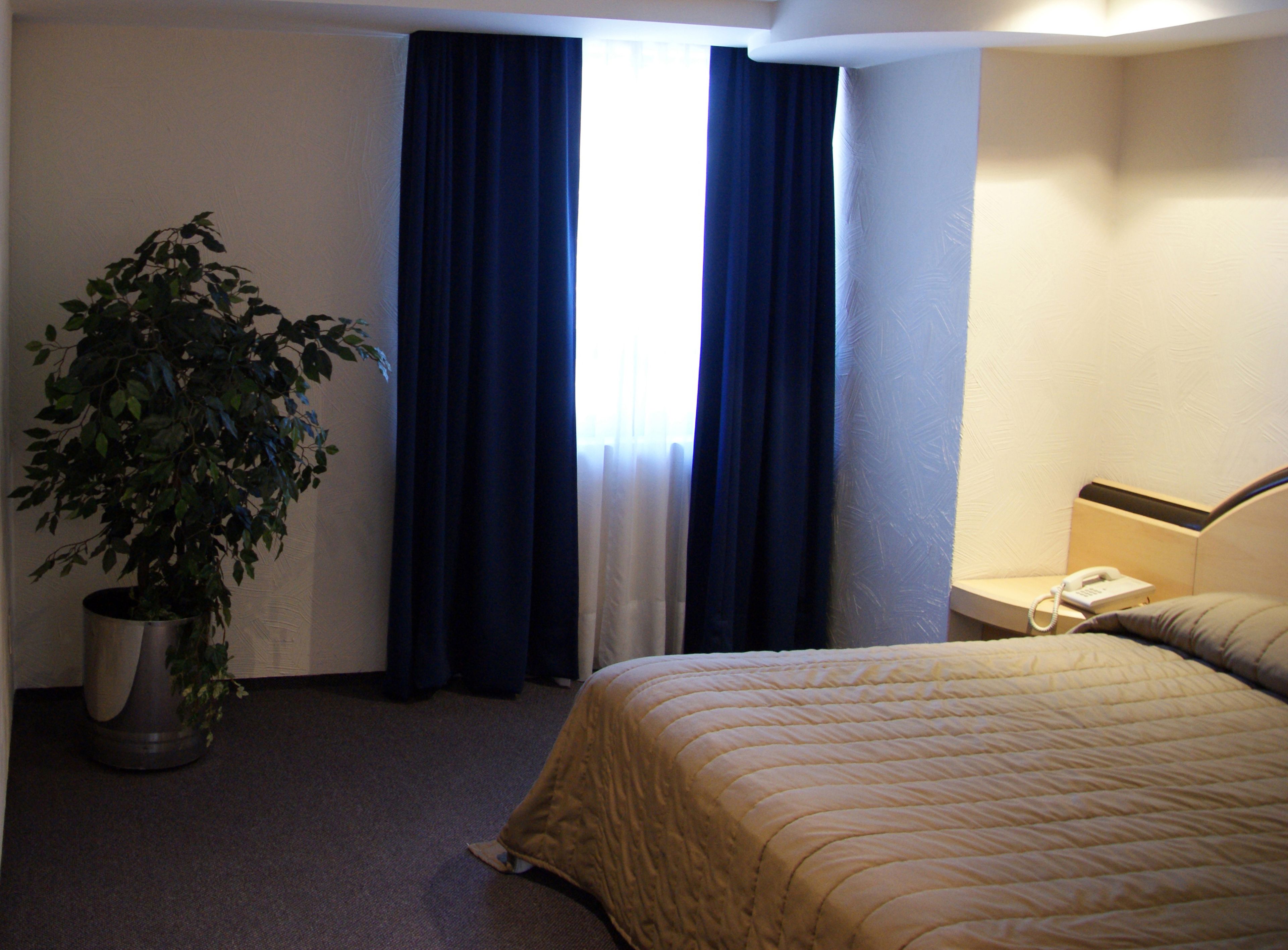 A hotel room with a bed, a bedside telephone, a potted plant, and a window with curtains.