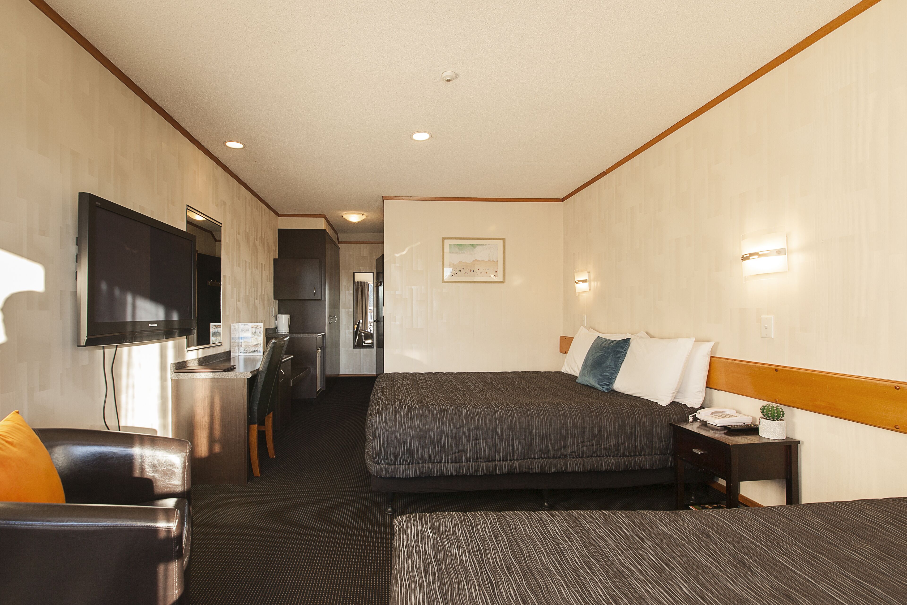 A hotel room with a bed, a desk, a TV, and a small plant.