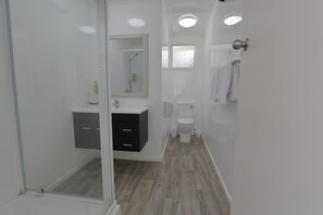 Estudio estándar, varias camas | Ducha del cuarto de baño